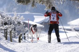 Lenk 2013
